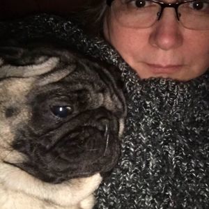 Meet your Posher, Sadie